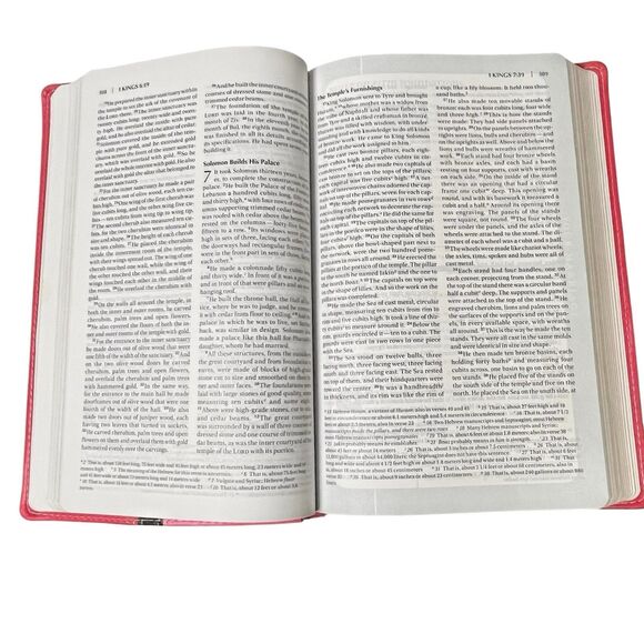 Busy Mom’s Bible New International Version 2011 NIV Pink Red Leather Soft Daily - Picture 15 of 16